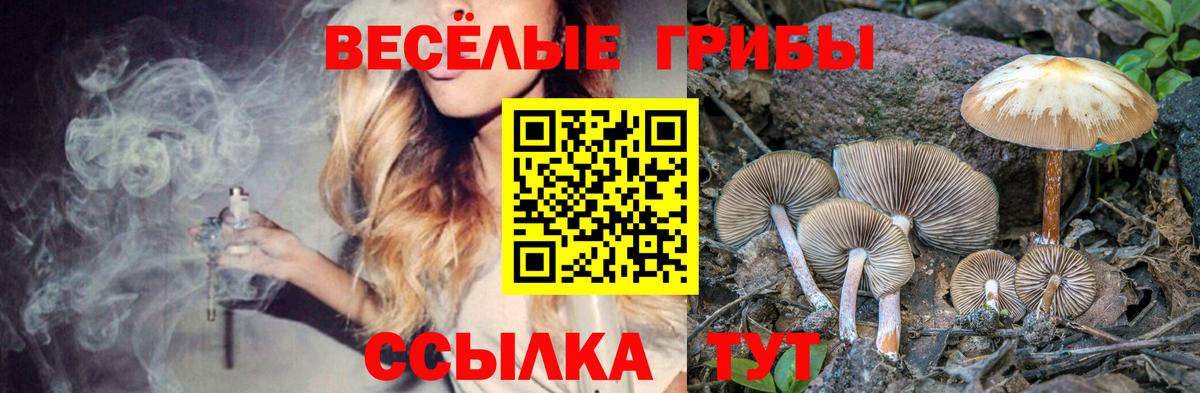 купить наркоту  Галлюциногенные грибы GOLDEN TEACHER  Вход с VPN  Амурск 